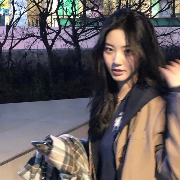 网中的太阳
